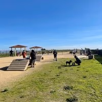 Marina Dog Park photo 1